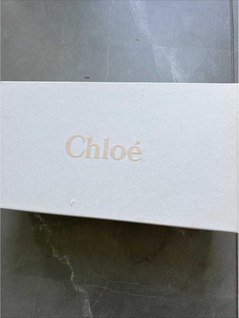 Chloé $650 Lauren Leather Ballerina Flat Women's Size 39.5 W Delicate Nude - Picture 5 of 10